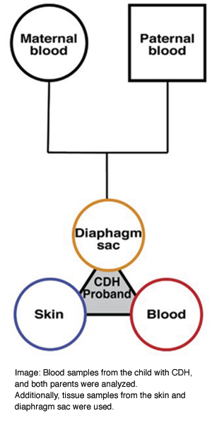 Blood Samples Chart