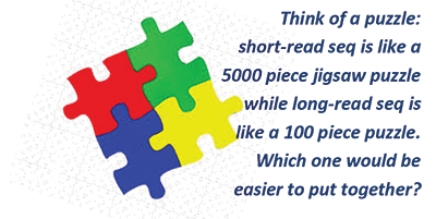 Long Read Sequencing Puzzle